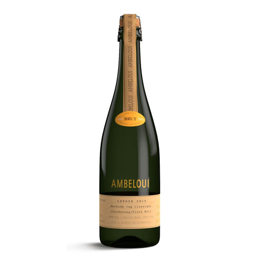 Ambeloui Luvuyo 2016 MCC