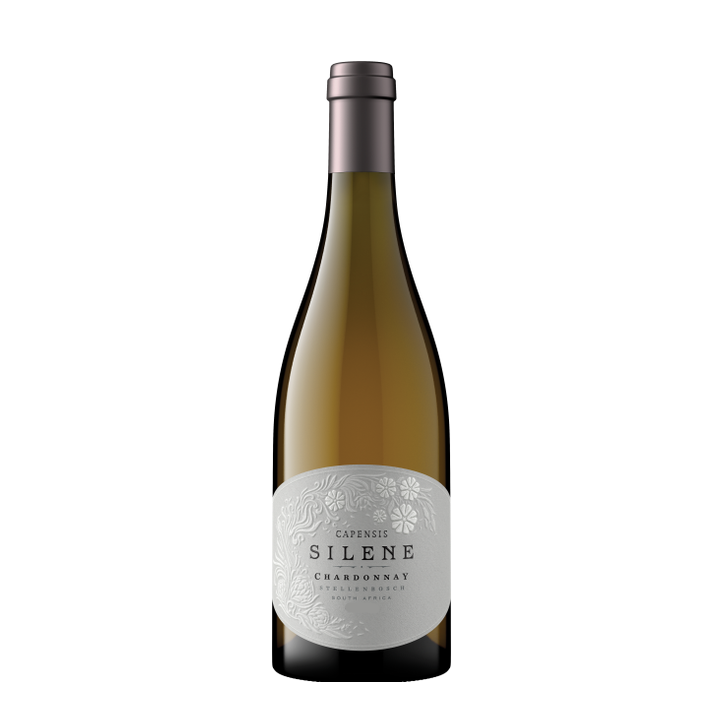 Capensis Silene Chardonnay 2025
